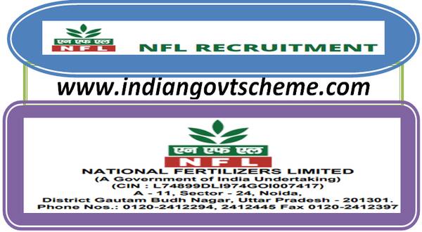 apply_online_nfl_management_trainee_and_accounts_assistant_recruitment