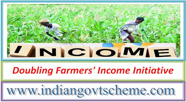 doubling_farmers_income_initiative