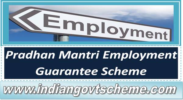 Pradhan Mantri Employment Guarantee Scheme target and achievement during last 5 years 