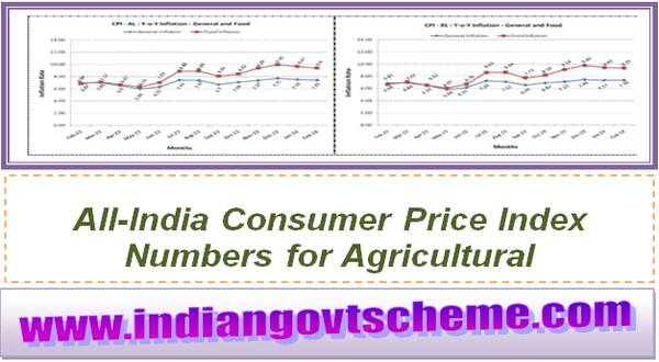 All-India Consumer Price Index Numbers for Agricultural and Rural Labourers – February, 2024