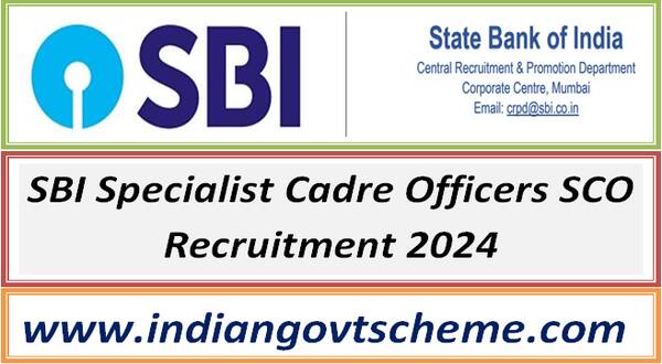 SBI Specialist Cadre Officers SCO Recruitment 2024